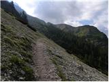 Malga Fosse - Cima della Rosetta